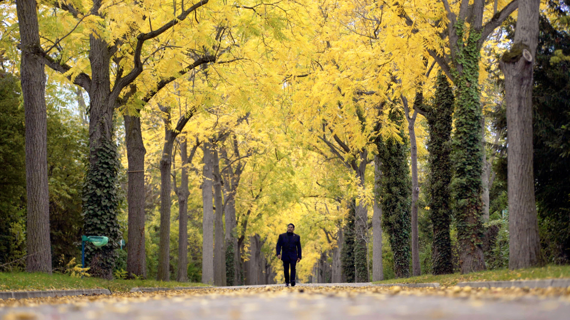 Antônio Bandeira - O Poeta das Cores