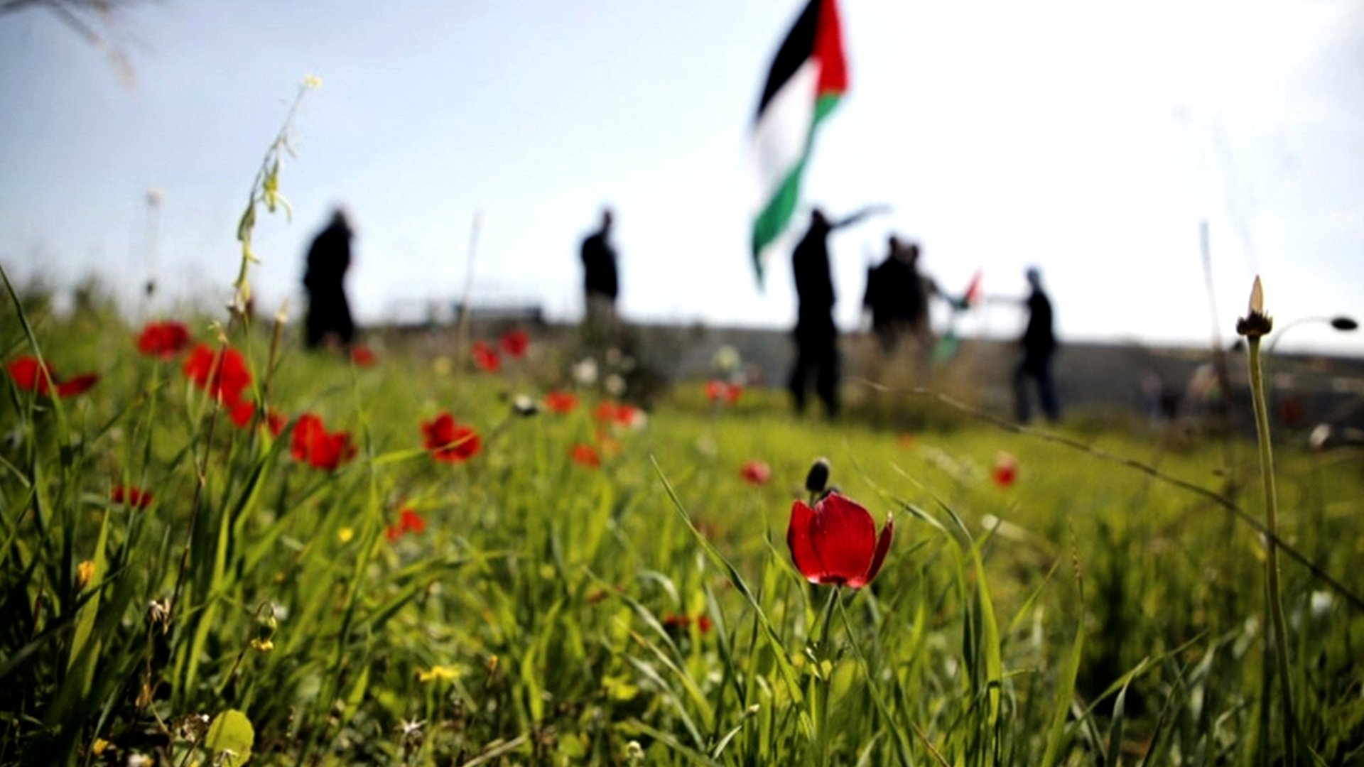 Os mortos resistirão para sempre